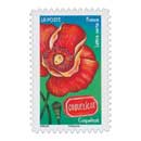 2022 Coquelicot