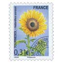 2008 TOURNESOL – Helianthus annuus