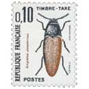 Ampedus cinnabarinus