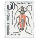 Leptura cordigera