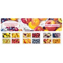 2023 FRUITS À SAVOURER