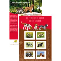 2016 Chiens courants et rapporteurs
