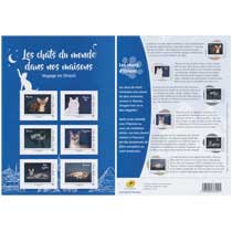 2017 COLLECTOR CHATS D’ASIE