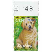 2006 Le chiot