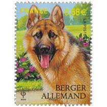 2011 BERGER ALLEMAND
